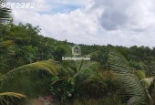 Bán Đất Vườn Cây Ăn Trái Xã Hòa Long, Đồng Tháp. DT 44000m2, SHR, Giá 22 Tỷ.