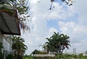 Bán 2,8ha đất kho nhà xưởng 50 năm tại mặt đường 5 Lai Cách, Cẩm Giàng, Tỉnh Hải Dương