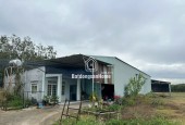 BÁN GẤP! SIÊU PHẨM 4.420,8M² (559m² TC + XƯỞNG), MT 10M NHỰA, Chỉ 5.3 Tỷ, XÃ Tân Bình, TÂY NINH.