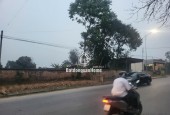 Chính chủ bán 1154m2  đất đầu tư, đường Lạc Hồng, Thì trấn Lâm Thao, Phú Thọ