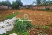Chính chủ Bán đất  Đường Lạc Hồng, thị trấn Lâm Thao, Phú Thọ