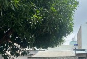 Bán nhà 150m², 4PN, 3WC, Trường Thọ, Thủ Đức, 7.4 tỷ, sổ đỏ