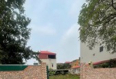 Lô đất 299m² – Mặt tiền 14m – Trục chính Du Nội, Đông Anh – Giá hơn 30 tỷ