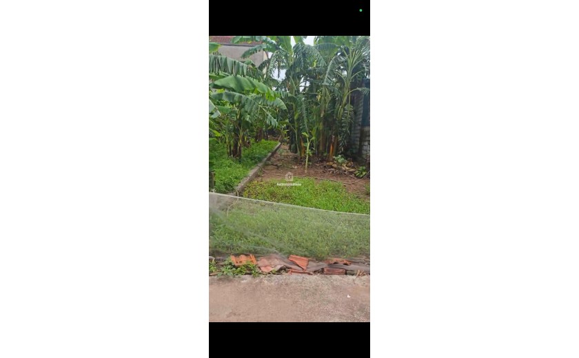 Bán đất tại Tự Nhiên, Thường Tín, Hà Nội, 2,85 tỷ, 91,8 m2 giá ưu đãi