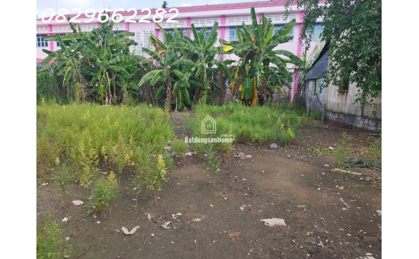 Bán Đất Thổ Cư Đường ĐT 848- Cai Khoa, TP.Sa Đéc. DT 547m2, Sổ Hồng, Giá 3.5 Tỷ