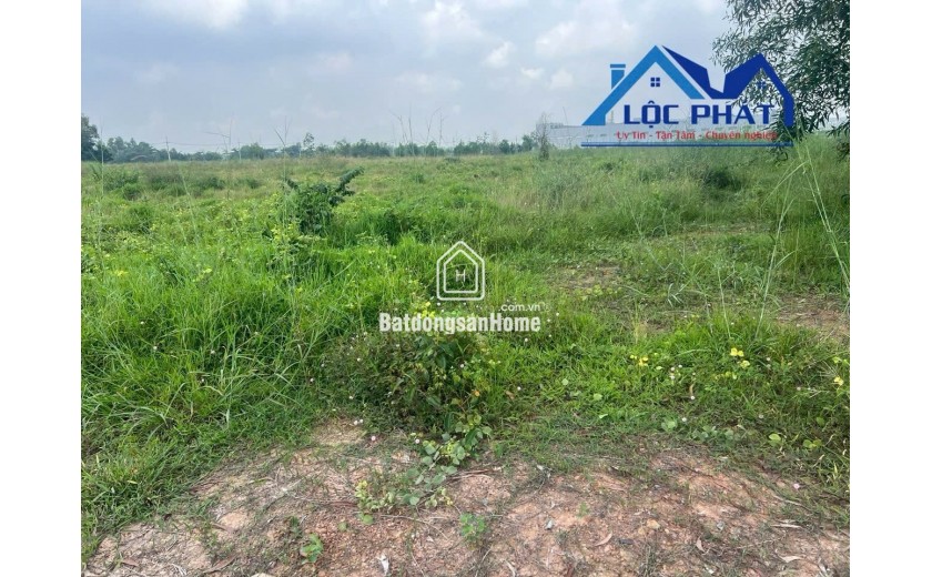 Bán đất SKK 1,8ha KCN Hố Nai, Trảng Bom, Đồng Nai 195Đ