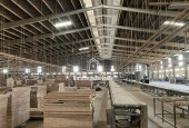 Cho thuê kho xưởng 6700m2 xã Tân An, Vĩnh Cửu Đồng Nai 3,2usd