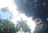MẶT TIỀN KINH DOANH, NGANG LÍ TƯỞNG 5.3M , 4 TẦNG, 43M2 - SỔ HỒNG RIÊNG -  GIÁ NHỈNH 8  TỶ TÍ
