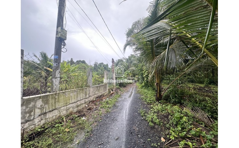 Bán gấp nhà Hóc Môn, Nhị Bình 15: 1082m², 3PN, sổ hồng,