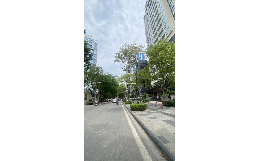 Bán 1200m2 đất tặng biệt thự mặt phố Đội Cấn phường Ngọc Hà