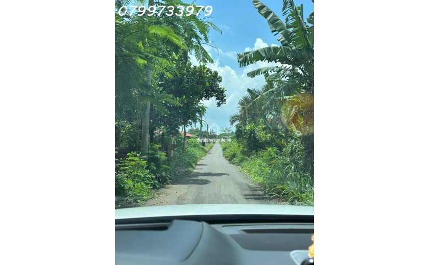 Bán 12.000m2 đất, xã Suối Rao, Bà Rịa Vũng Tàu, tặng nhà vườn, giá chỉ 14,9 tỷ