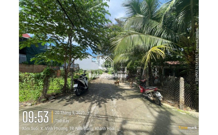 đát thổ cư góc 2 mặt tiền giá rẻ . diện tích 293 m2 giá 2 tỷ 800 , đưởng ô tô thông thoáng