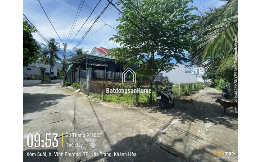 đát thổ cư góc 2 mặt tiền giá rẻ . diện tích 293 m2 giá 2 tỷ 800 , đưởng ô tô thông thoáng