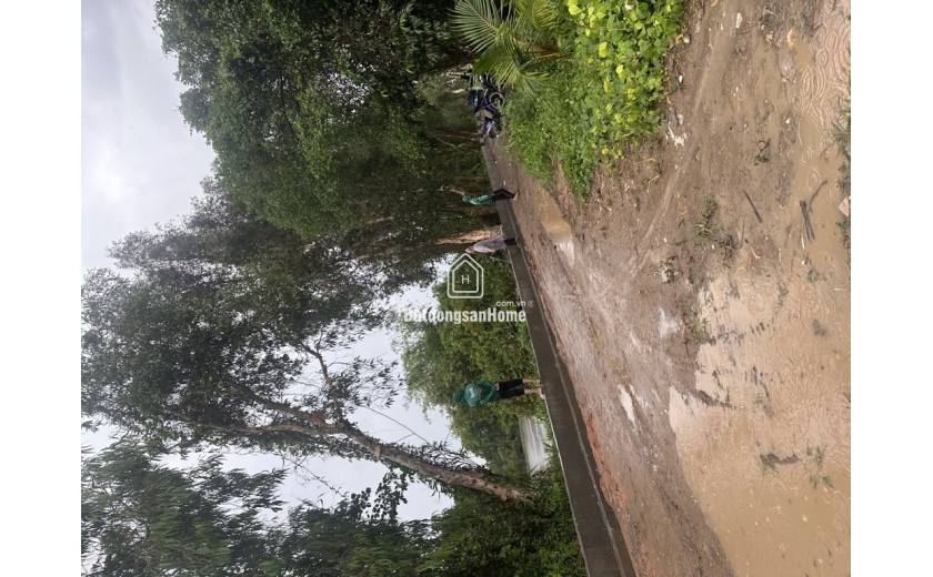 GấpBán nhà Hóc Môn, Nhị Bình 15:Hóc Môn 1082m2,