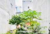 Khan hiếm P. 25 - Bán gấp lô đất đẹp 64.6m2 (4.5m x 15.5m) - Ngay trường ĐH Ngoại Thương