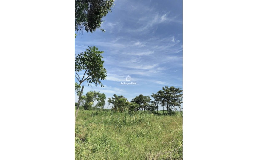 Bán đất công 1100m2 đất, cách Phà Cát lái chỉ 3,5km, phú Huux, Nhơn Trạch,Đồng Nai