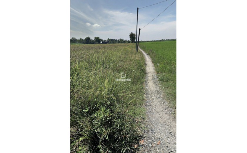 Bán đất công 1100m2 đất, cách Phà Cát lái chỉ 3,5km, phú Huux, Nhơn Trạch,Đồng Nai