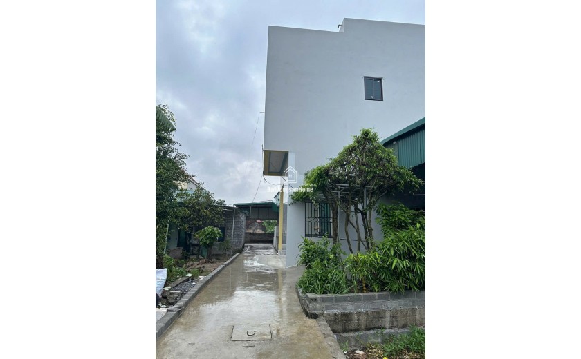 CHÍNH CHỦ GỬI BÁN SIÊU MẪU CHÂN DÀI THƯ DƯƠNG - THƯ PHÚ