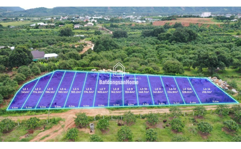 Đất nền Cam Lâm Khánh Hòa – 128m² full thổ cư, gần Quốc lộ 1A, pháp lý chuẩn