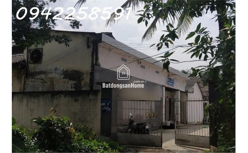 Cho thuê xưởng 3335m3 giá 60tr/tháng, tặng 1 năm tiền thuê (chính chủ)