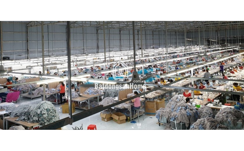 Bán gấp xưởng 980m² Bình Thành, Bình Tân – Giá thương lượng