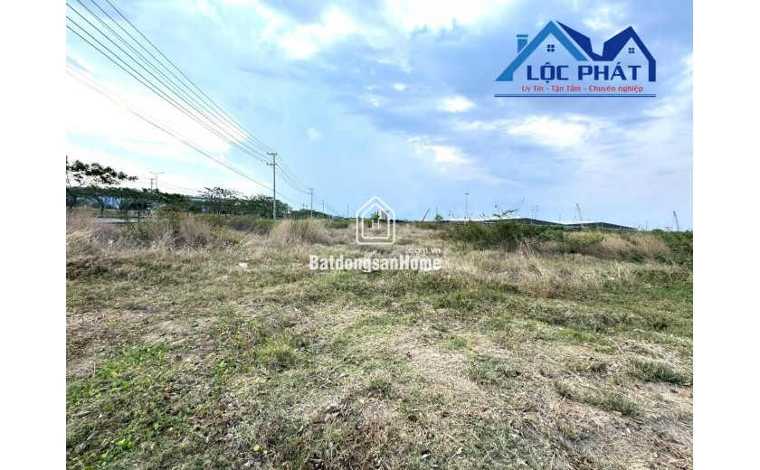 Bán đất SKK 2,5ha KCN Phú Mỹ, Bà Rịa Vũng Tàu, 139$/m2