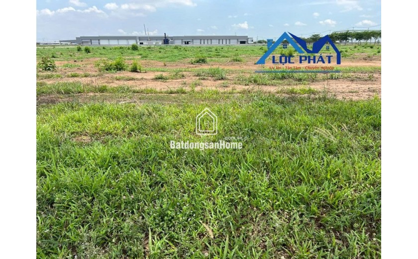Bán đất SKK 3,1ha trong KCN Trảng Bom, Đồng Nai giá 180$/m2