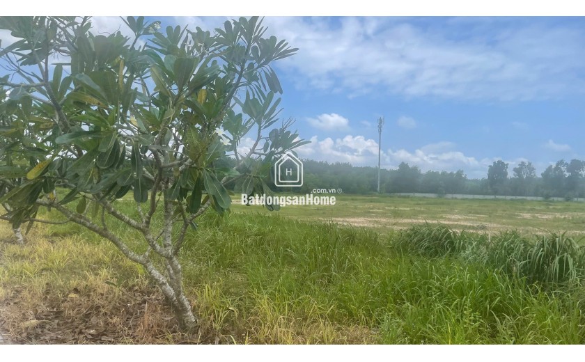 Bán đất 1000m2 xã Hố Nai 3, Trảng Bom, Đồng Nai giá 5,5 tỷ