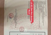 CHÍNH CHỦ GỬI BÁN SIÊU MẪU CHÂN DÀI THƯ DƯƠNG - THƯ PHÚ