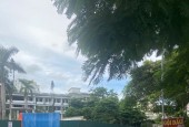Bán 8632m2 đất xây dựng căn hộ khách sạn tại Vườn Đào - Bãi Cháy - Hạ Long