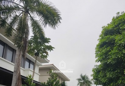 Bán biệt thự  khu cảnh đồi mỹ quang, nam quang – phú mỹ hưng, quận 7