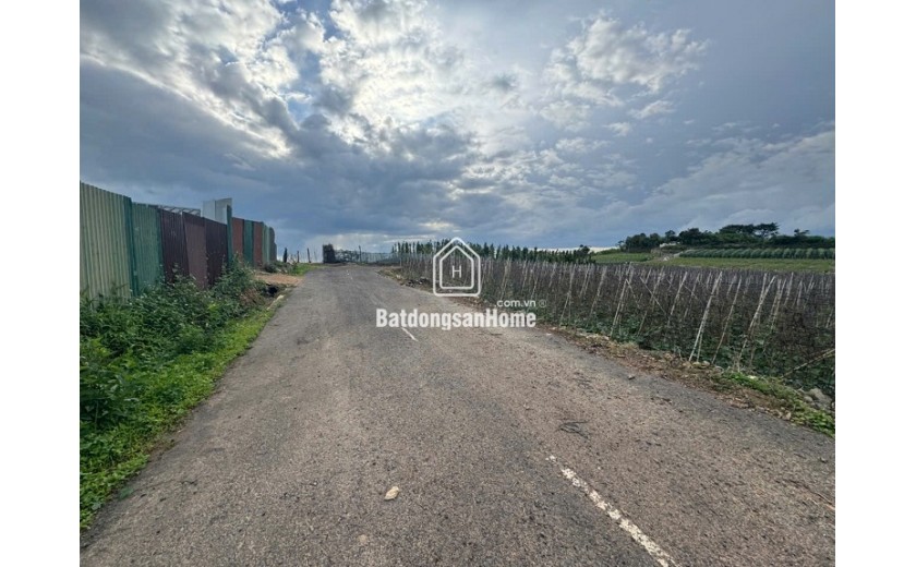 Cần bán 12 lô đất. Xã Phú Hội, Xã Ninh Gia, xã Tà Hine. xã Lạc Dương. Lâm Đồng.