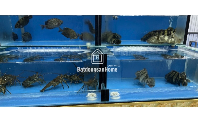 E cần sang nhượng gấp quán nhậu ở đường Nguyễn Huy Chương, Sơn Trà, Đà Nẵng