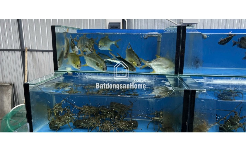 E cần sang nhượng gấp quán nhậu ở đường Nguyễn Huy Chương, Sơn Trà, Đà Nẵng