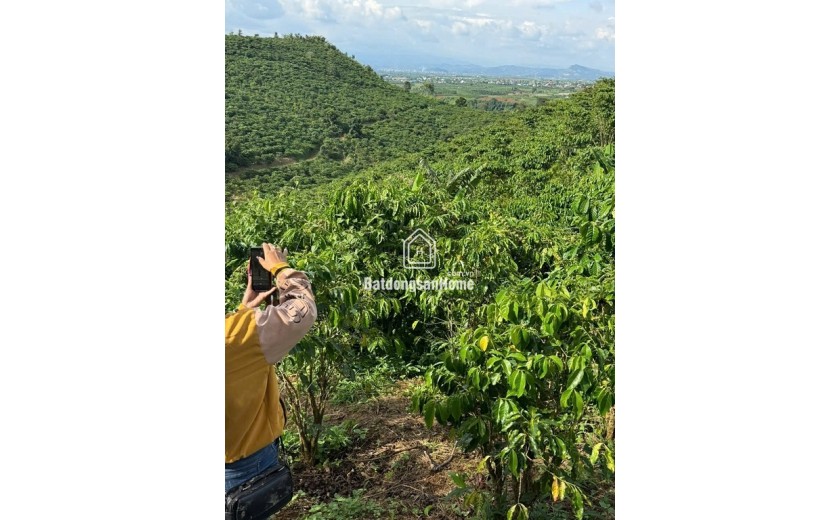 Cần bán 12 lô đất. Xã Phú Hội, Xã Ninh Gia, xã Tà Hine. xã Lạc Dương. Lâm Đồng.