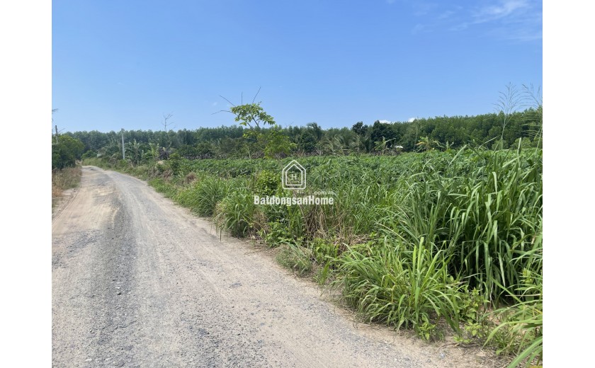 Bán đất SKC 8000m2 xã Hố Nai 3, Trảng Bom, Đồng Nai 16T