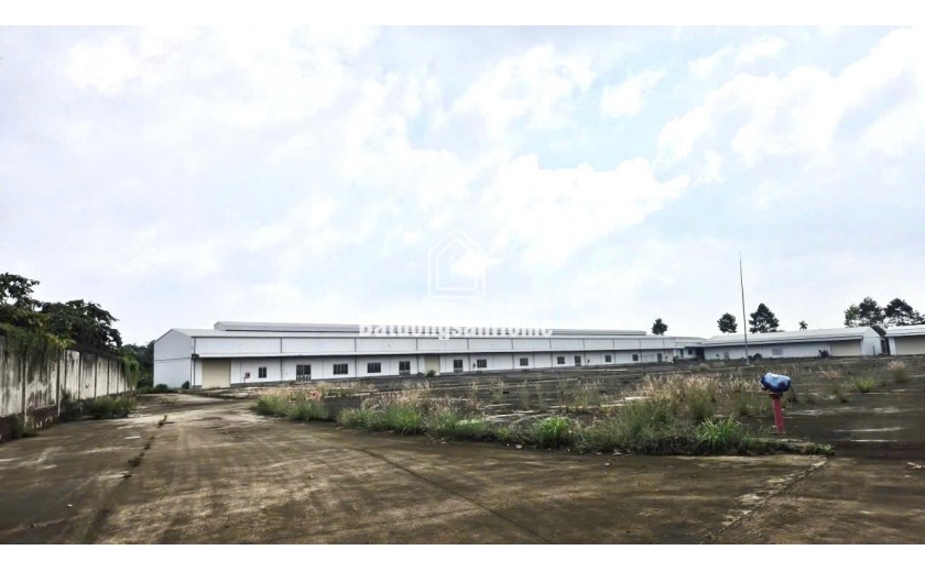 Bán xưởng 40.000m2 SKC huyện Trảng Bom, Đồng Nai giá chỉ 65 tỷ ~~1,6Tr/m2
