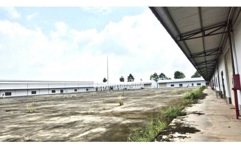 Bán xưởng 40.000m2 SKC huyện Trảng Bom, Đồng Nai giá chỉ 65 tỷ ~~1,6Tr/m2
