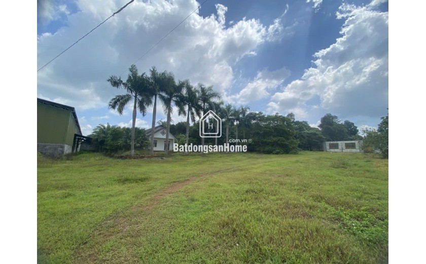 Bán xưởng SKC + đất 23000m2 huyện Thống Nhất, tỉnh Đồng Nai 28 tỷ