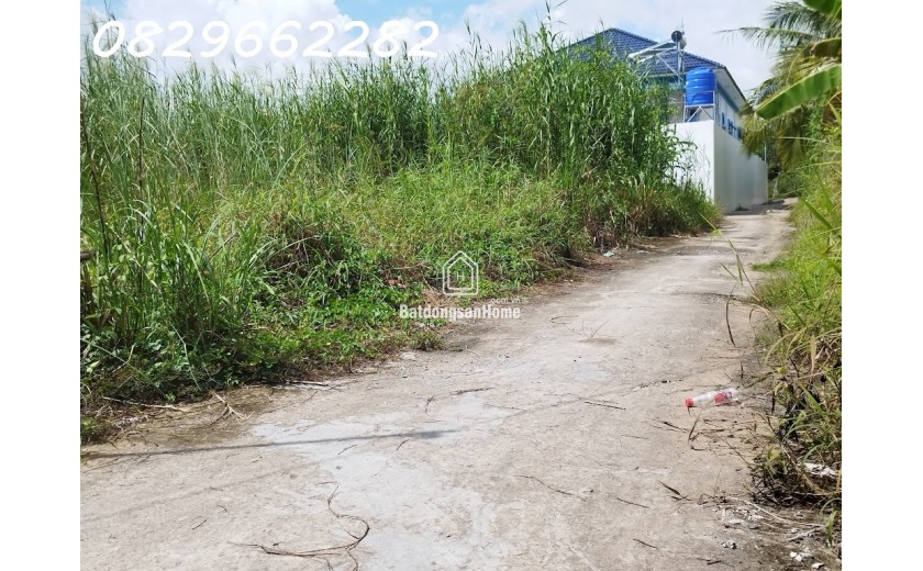 Bán đất Sổ Hồng 171m2 (7x25m) MT 7m H. Tây Bắc đường Tân Xuân, Châu Thành, Đồng Tháp. Giá 600 triệu.