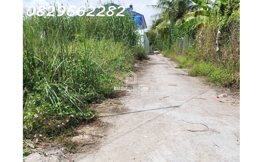 Bán đất Sổ Hồng 171m2 (7x25m) MT 7m H. Tây Bắc đường Tân Xuân, Châu Thành, Đồng Tháp. Giá 600 triệu.