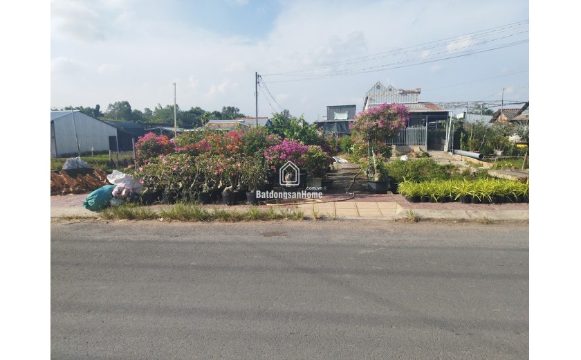 Bán đất thổ cư 196m2 Sổ Hồng Làng Hoa, Tân Quy Đông, TP. Sa Đéc, Đồng Tháp. Giá 3.2 tỷ. Hướng Tây Nam.