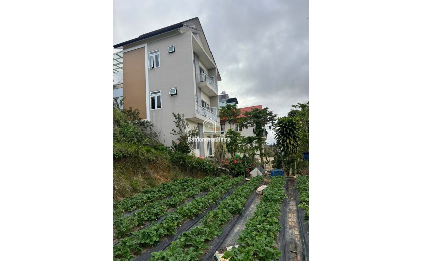 SUẤT ĐẦU TƯ HIẾM – 611m² P7 ĐÀ LẠT VIEW SĂN MÂY – HOÀNG HÔN ĐỈNH CAO – GIÁ 14,9 TỶ