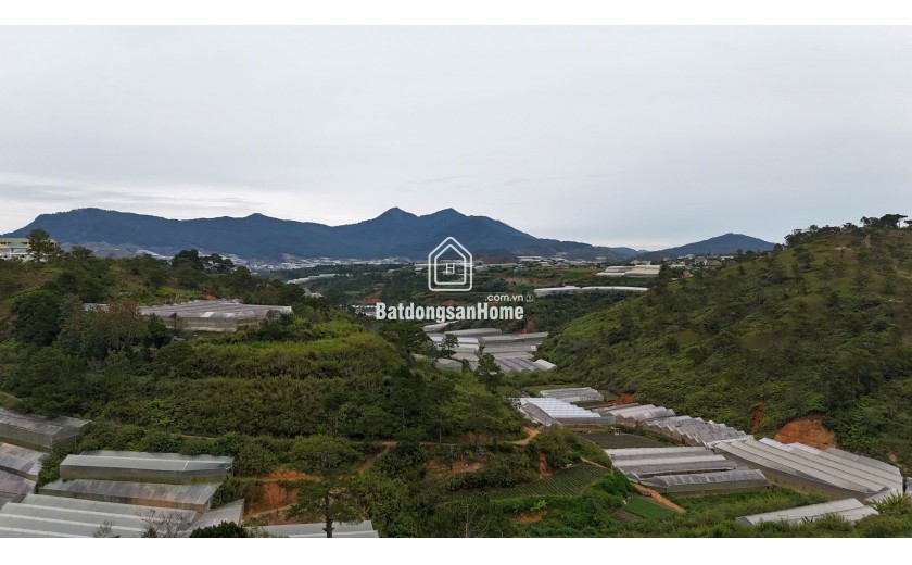 Cho thuê văn phòng tại Cantavil Premier, Tầng 9 – An Phú, TP. Thủ Đức (Q2 cũ), TP. HCM