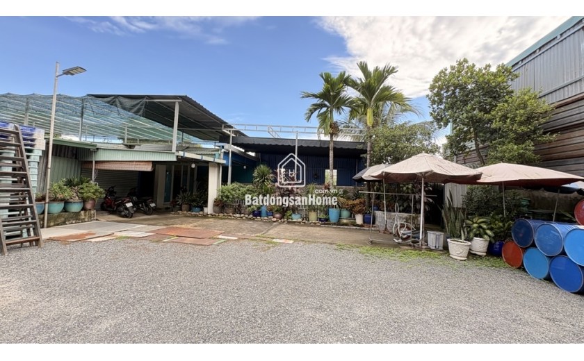 Bán nhà mặt tiền Thới Tam Thôn 6, Hóc Môn. DT: 1250m2, 3 PN, SHR.29 tỷ