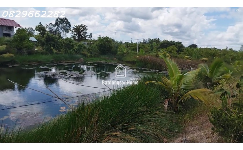 Bán 4.4ha Đất Vườn Cây Ăn Trái, Xã Hoà Long, Đồng Tháp. Pháp lý Sổ Hồng,