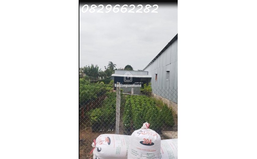 Đất Mặt Tiền 100m2 (5x20) Ngay Làng Hoa Sa Đéc- Sổ Hồng- Chỉ 600 Triệu.