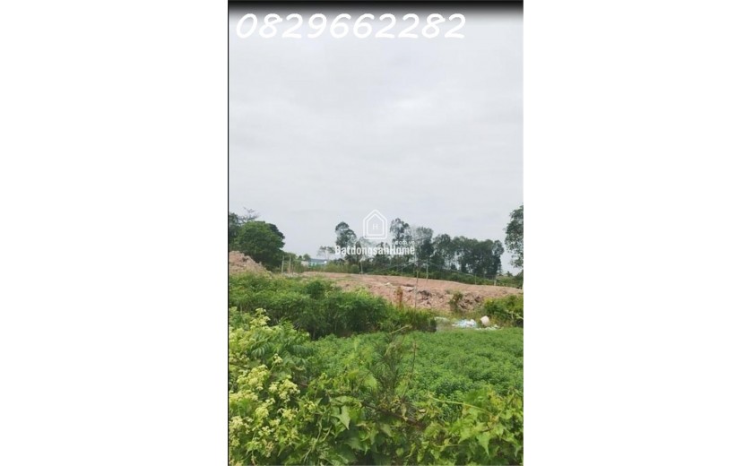 Đất Mặt Tiền 100m2 (5x20) Ngay Làng Hoa Sa Đéc- Sổ Hồng- Chỉ 600 Triệu.