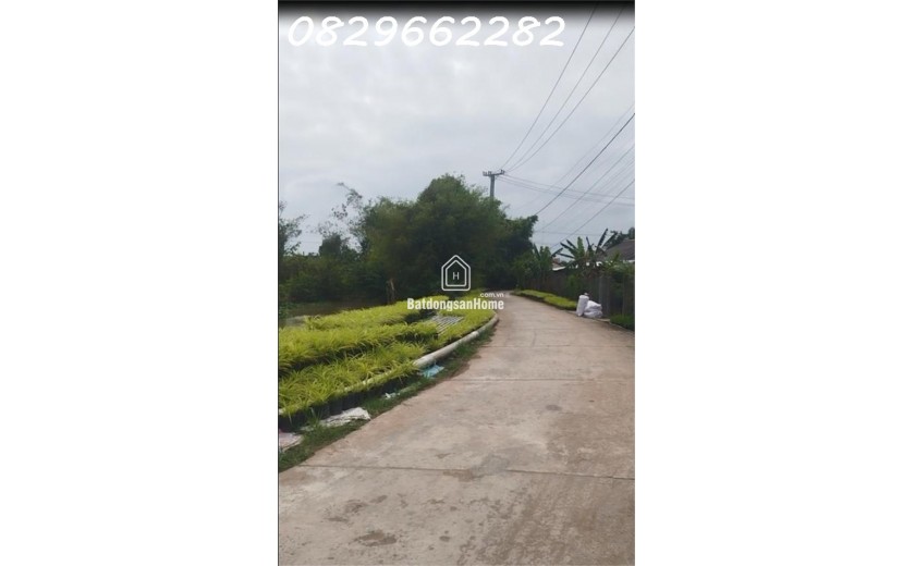 Đất Mặt Tiền 100m2 (5x20) Ngay Làng Hoa Sa Đéc- Sổ Hồng- Chỉ 600 Triệu.