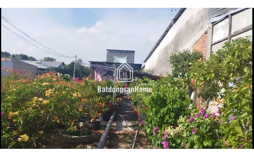 Bán đất thổ cư Làng Hoa Sa Đéc Đồng Tháp 196m2 Sổ hồng giá 3.2 tỷ